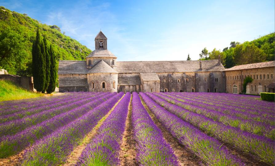 Exploring Provence: Lavender fields, vineyards and hilltop villages