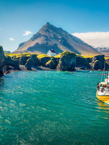 Arctic char and trout dishes