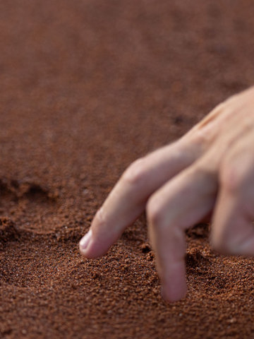 Take a guided bush walk in a private conservancy