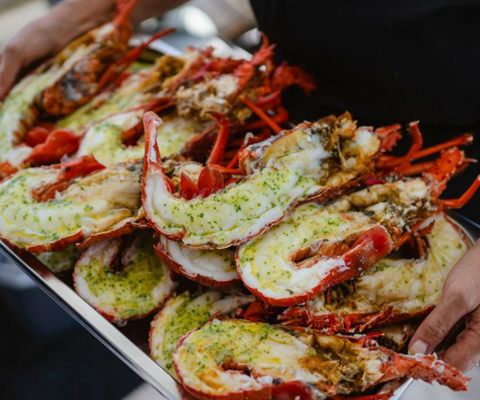 Rock Lobster - Rottnest Island
