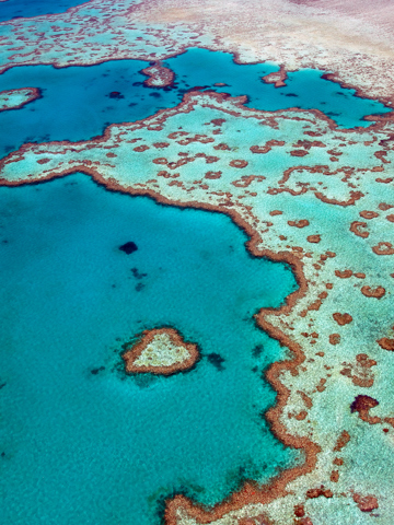 Great Barrier Reef cuisine