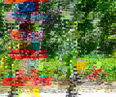 Cycle peaceful La Digue lanes