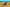 The ultimate ocean to Outback safari 