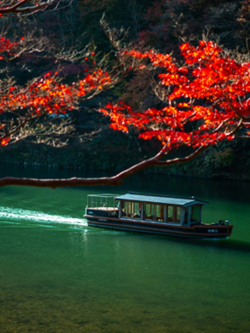 French-Japanese fusion