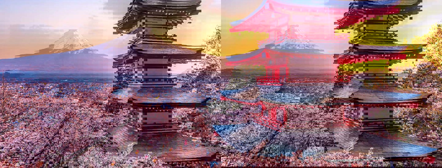 Adobestock 265237090