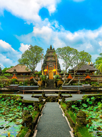 Explore Ubud and Bali jungle