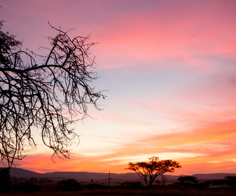 Visit the KwaZulu-Natal battlefields
