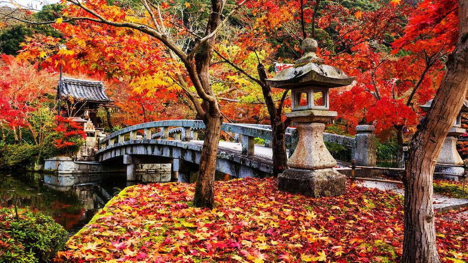Japan in autumn: the other seasonal star