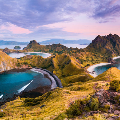 Discover Komodo dragons in Komodo