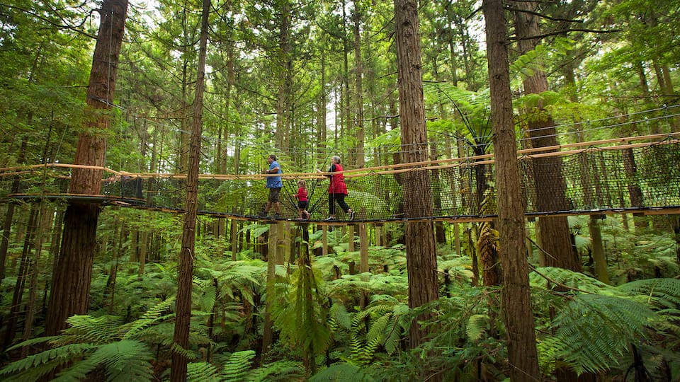 A family guide to New Zealand