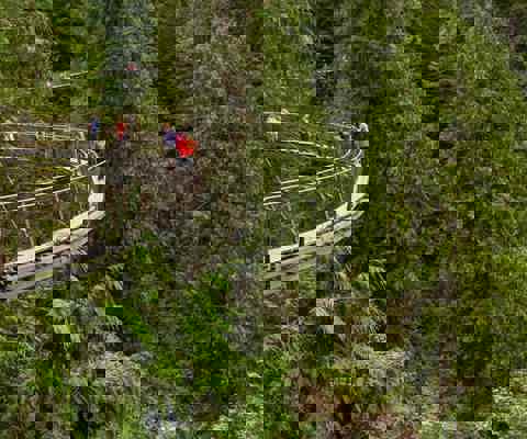 Adventure on the North Shore