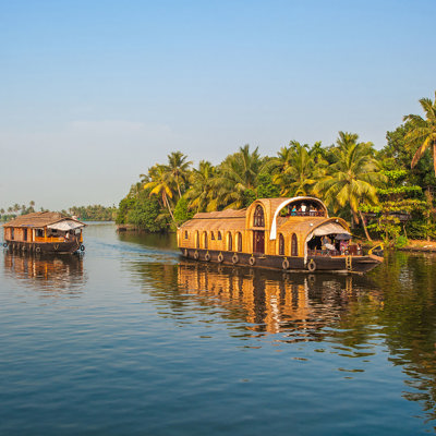 Explore tea hills, backwaters, and coastal calm
