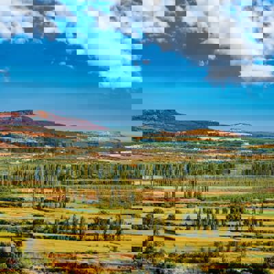 Ancestral fire cooking