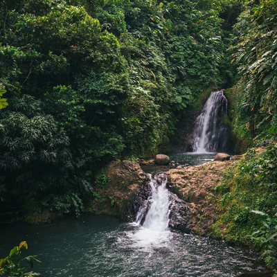 Explore Grenada’s national parks