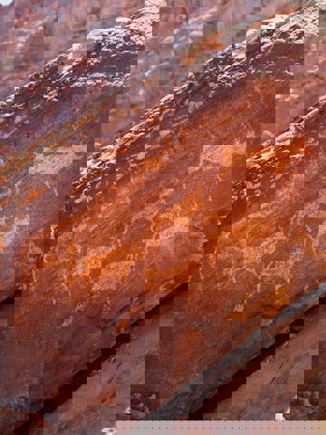 Discover ancient rock art at Twyfelfontein