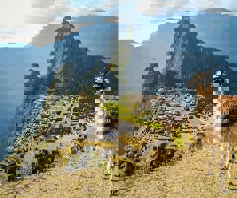 Explore Machu Picchu and the Inca Trail