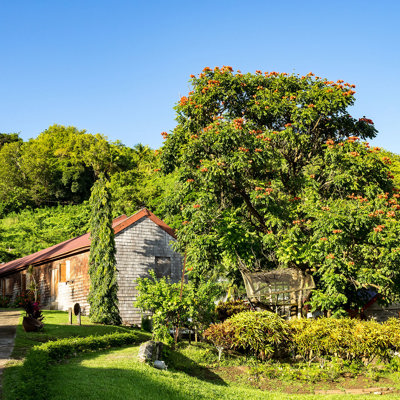 Visit Belmont Estate Plantation