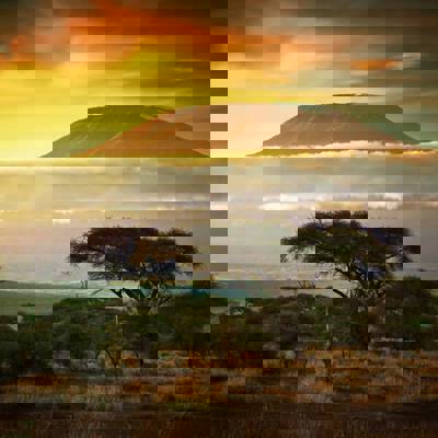 Bush to beach: a Tanzania & Zanzibar family adventure