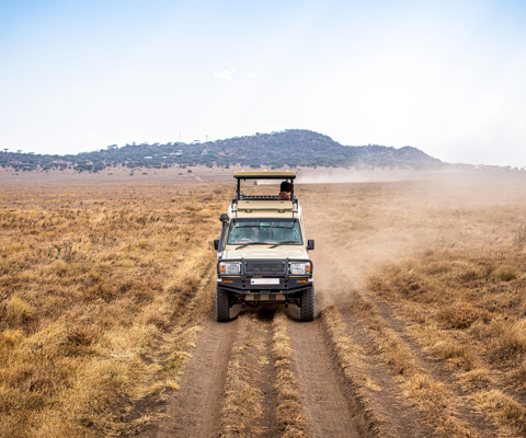 Kruger's 'Sleeper' Train: Tshokwane, Shalati & Mandela