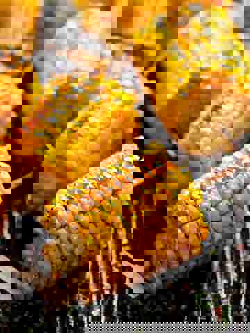 Local street food snacks