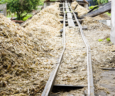 Tour River Antoine Distillery