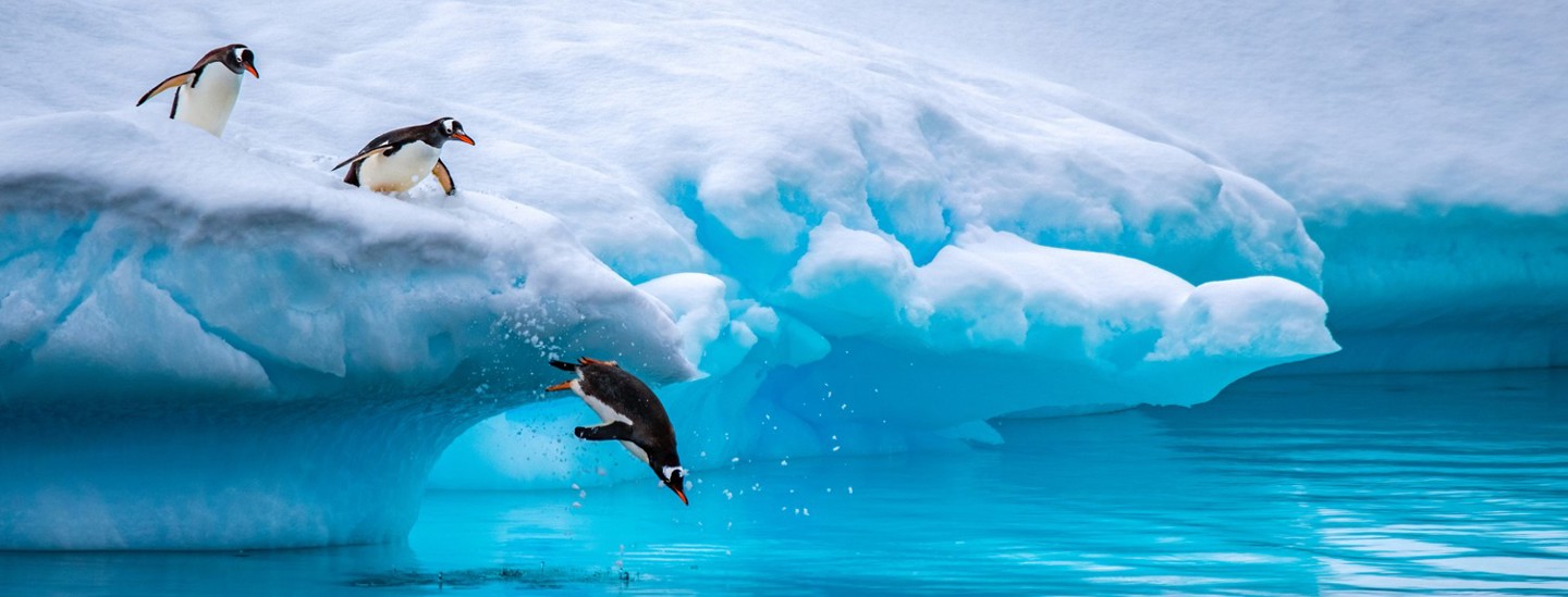 Antarcticagettyimages 2222309884 Ss