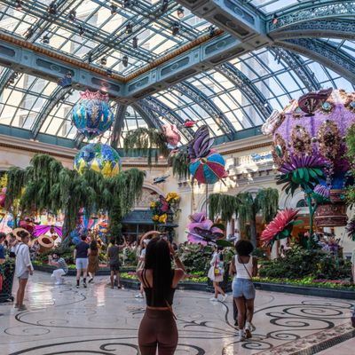 Explore iconic casinos and resorts