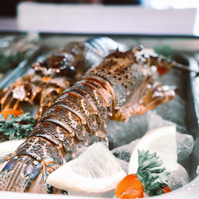 The freshest seafood