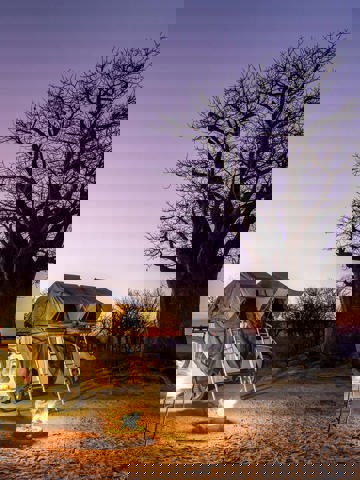 Sundowners and snacks on game drive