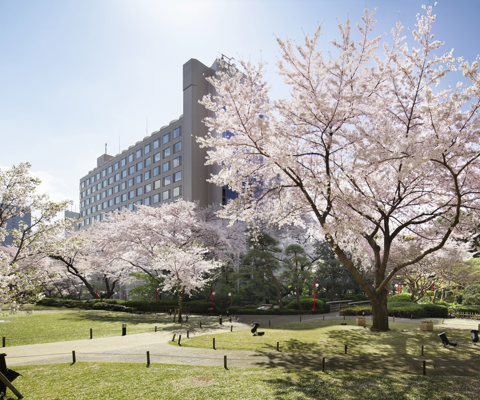 The Prince Sakura Tower Tokyo, Autograph Collection