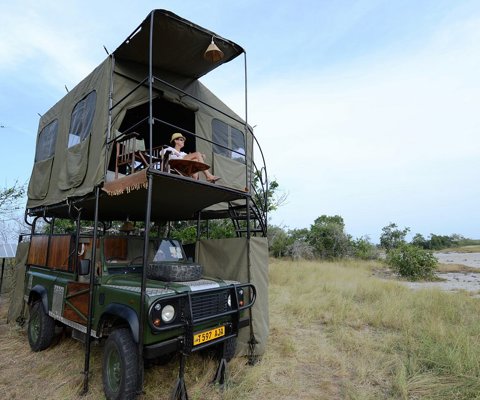 Bush Rover Migration Camp