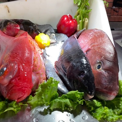 Clifftop seafood delights