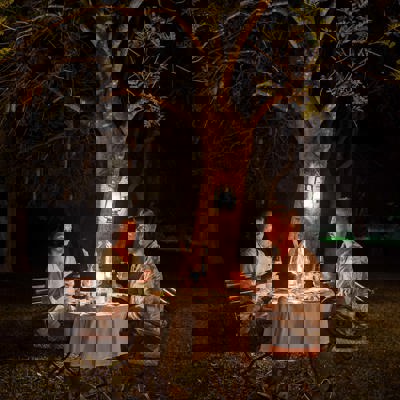 Campfire dinners on the savanna