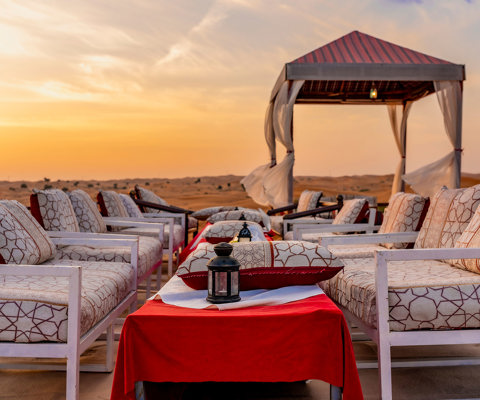 Explore the desert landscapes