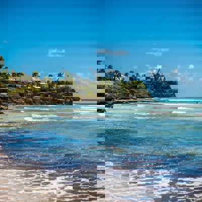 Cou-cou and flying fish