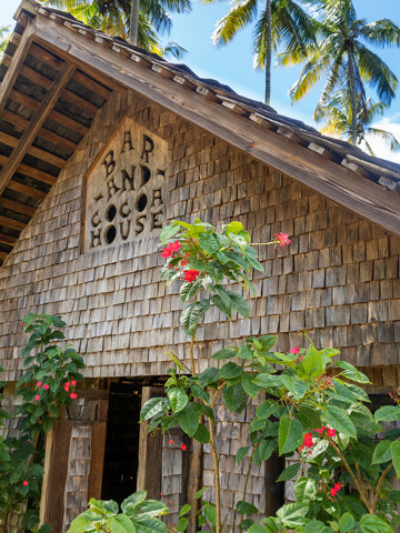 Chocolate and cocoa plantation tours