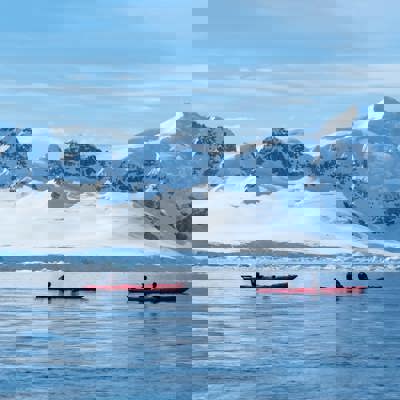 Cruise icebergs in Paradise Bay