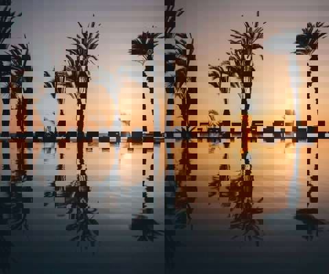 Almyra Hotel, Paphos