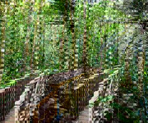 North Australia: reef adventures & rainforest retreats 