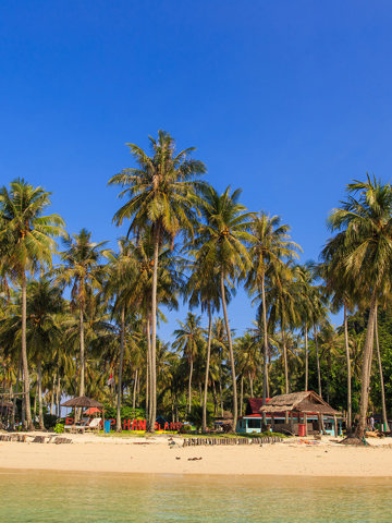 Padang food and spicy rendang