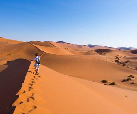 Climb the dunes of Sossusvlei and Deadvlei