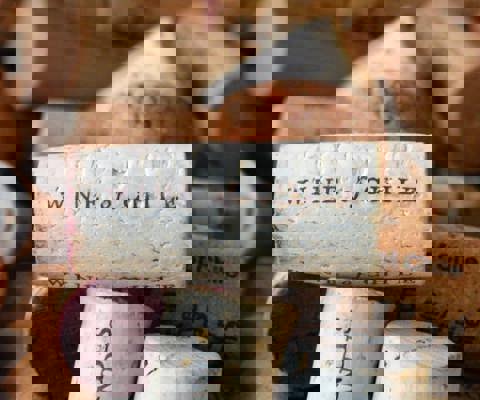 Explore Vineyards and Coastal Towns