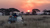 The best safari destinations around the world