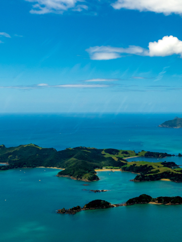 Fresh seafood in Kaikōura