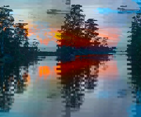 Cruise the mighty Amazon River