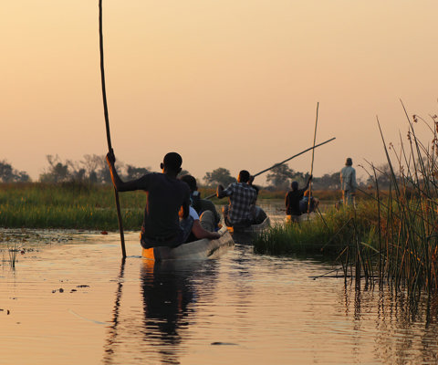 Drift through the Okavango Delta