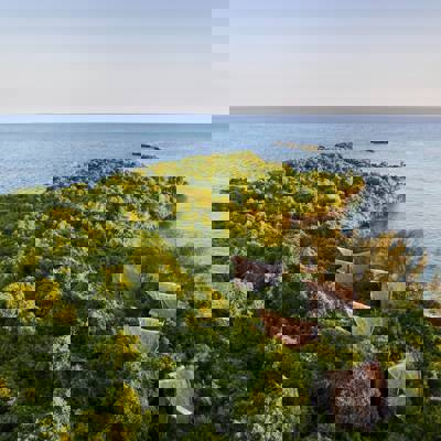 Kenya & Zanzibar escape: wild plains & paradise shores