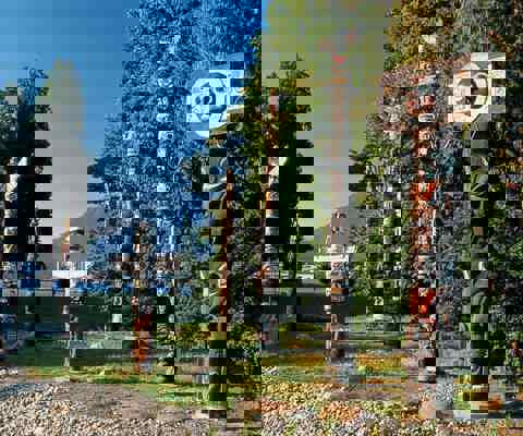 Explore Stanley Park