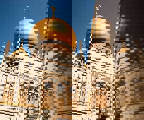 Explore ancient palaces