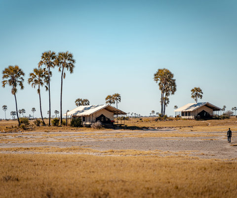 Bush dinners and boma feasts